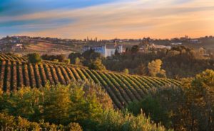 Paisagem com vinhedos em Costiglion d'Asti, no Piemontei