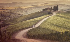 Vista panorâmica dos vinhedos no Castiglion del Bosco, uma das vinícolas na Toscana mais famosas