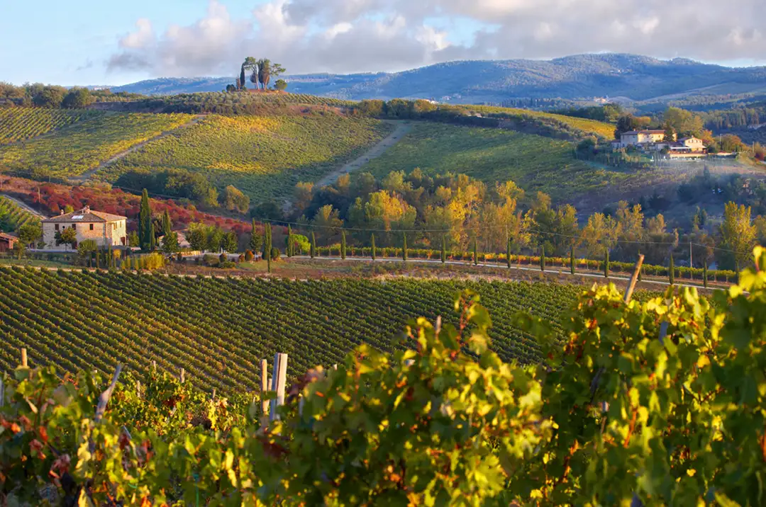 Vinhedos de Chianti Classico nas colinas da Toscana durante o outono, com paisagem de casas rústicas e vegetação em tons dourados.